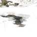 Steven Brooks Photo 16
