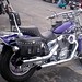 Arlen Stock Photo 10