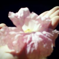 Yong Yi Photo 32