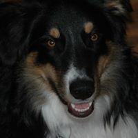 Barbara Hilliard Photo 8