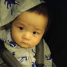 Shu Wu Photo 33