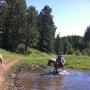 Brad Pierson Photo 14
