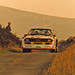 Peter Henderson Photo 32