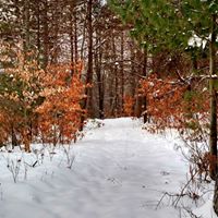 Heather Waterman Photo 6