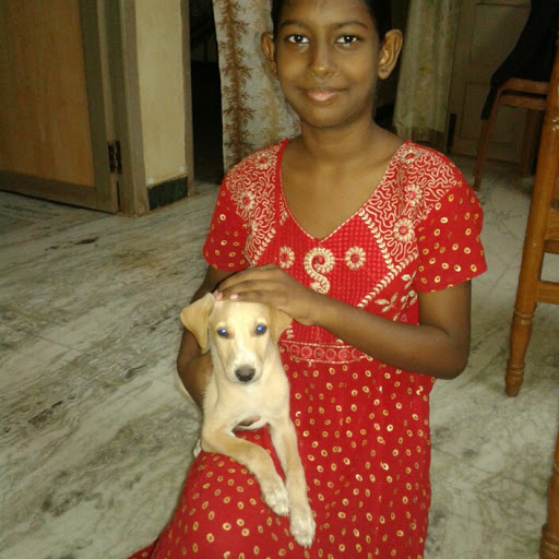 Ravi Sundaram Photo 29