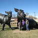 Carol Heinz Photo 28