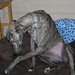 Betty Lay Photo 6