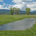 Clark Meadows Photo 9