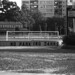 Robert Wentworth Photo 23