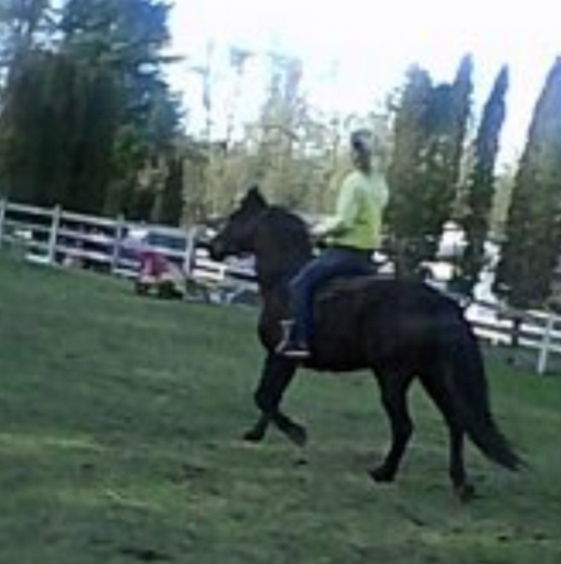 Janet Harrell Photo 12