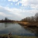 Mary Zeigler Photo 8