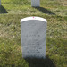 David Evans Photo 17