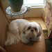 Allison Schaffer Photo 2