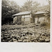 William Merrell Photo 32
