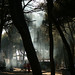Jose Becerra Photo 21
