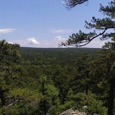 Tom Roberson Photo 4