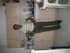Linda Ferrell Photo 39