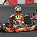 Paul Hardy Photo 55