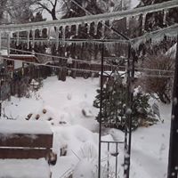 Nancy Dunning Photo 27