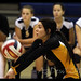 Jamie Gilbert Photo 22