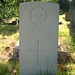 Theresa Williams Photo 31