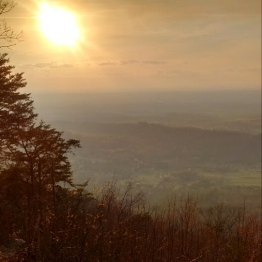 Catherine Reed Photo 14