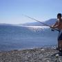 Patrick Wolfe Photo 14