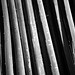 Donna Stack Photo 17