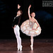 Gerald Herman Photo 13