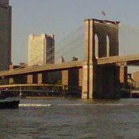 John Campisi Photo 11