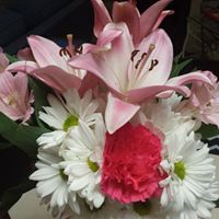 Sheri Ryan Photo 8