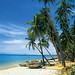 Mui Ho Photo 24