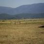 Joseph Fleming Photo 15