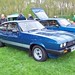 Mark Catton Photo 10