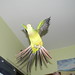 Lori Green Photo 18