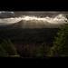 Ray Szymanski Photo 12