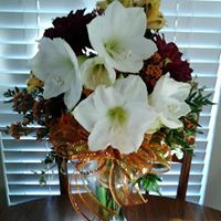 Phyllis Roberts Photo 14