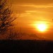 Dawn Eaton Photo 8