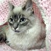 Dorothy Zink Photo 9