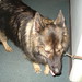 Cheri Jewell Photo 11