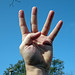 Joseph Ezell Photo 10