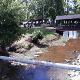 Michele Wells Photo 5
