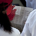 Asia English Photo 8