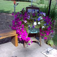 Doris Simmons Photo 23
