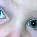 Bryant Green Photo 10