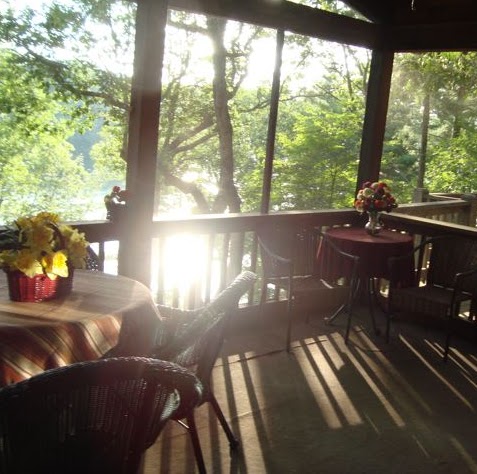 Debra Larson Photo 38