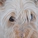 Otto Good Photo 9