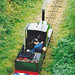 Jane Wells Photo 30