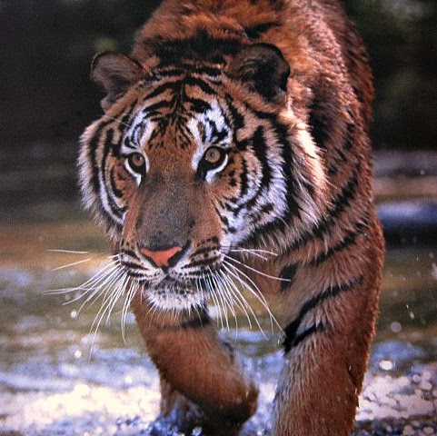 Amy Goetz Photo 25