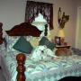 Nancy Mcelroy Photo 22